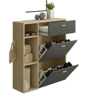 Shoe Cabinets